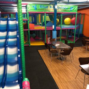 Blue Kangaroo Play Session